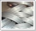 Galvanized Wire